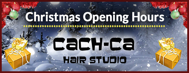 Christmas opening hours